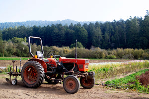 Meet the Maker: Blue House Farm