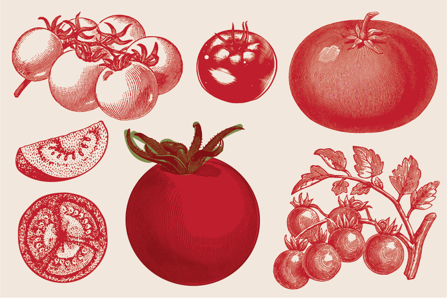 Summer Recipe Series: Tomatoes
