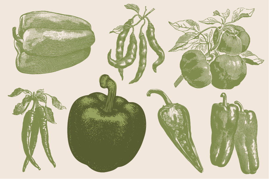 Summer Recipe Series: Peppers!