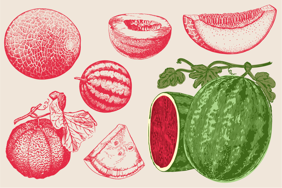 Summer Recipe Series: Melons!