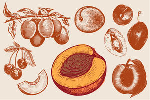 Summer Recipe Series: Stone Fruit!